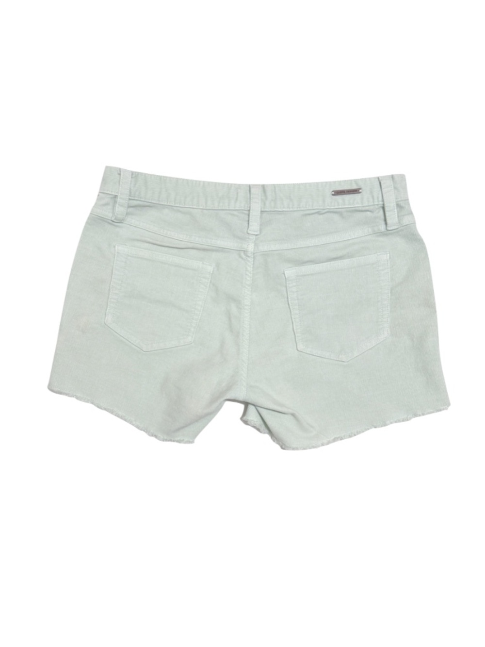 Carve Designs Oahu 4" Shorts-Ice Size 2 - Picture 6 of 11